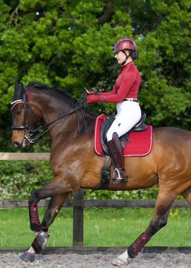 Training Wrap | Shiraz