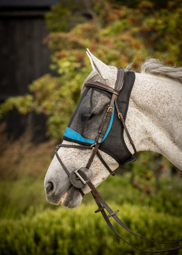Ride On Fly Mask