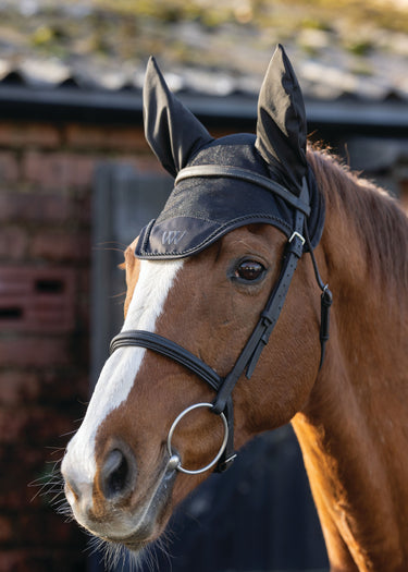 Classic Fly Veil | Black