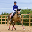 Picture of Vision Polo Bandages 