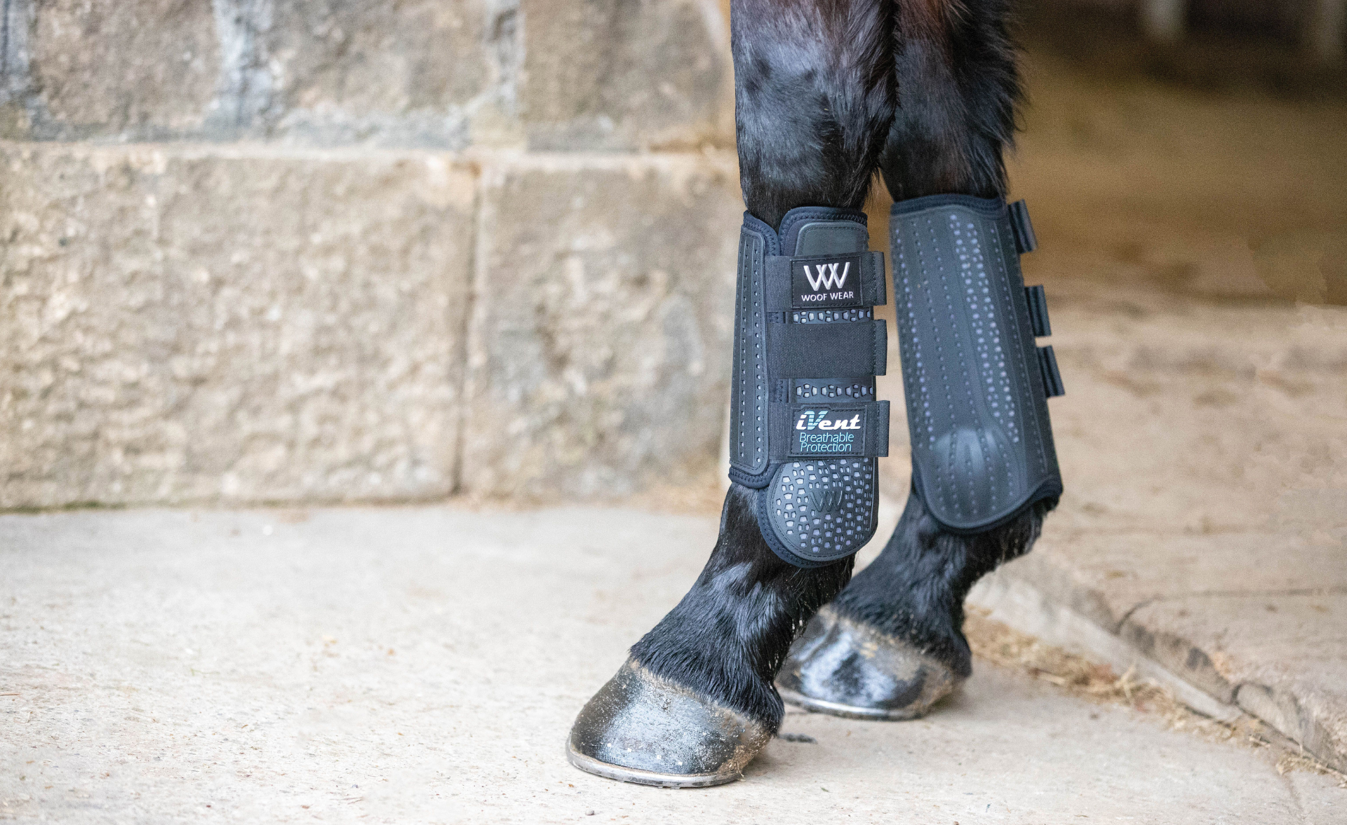 Picture for category Horse Boots