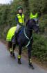 Hi Viz Yellow