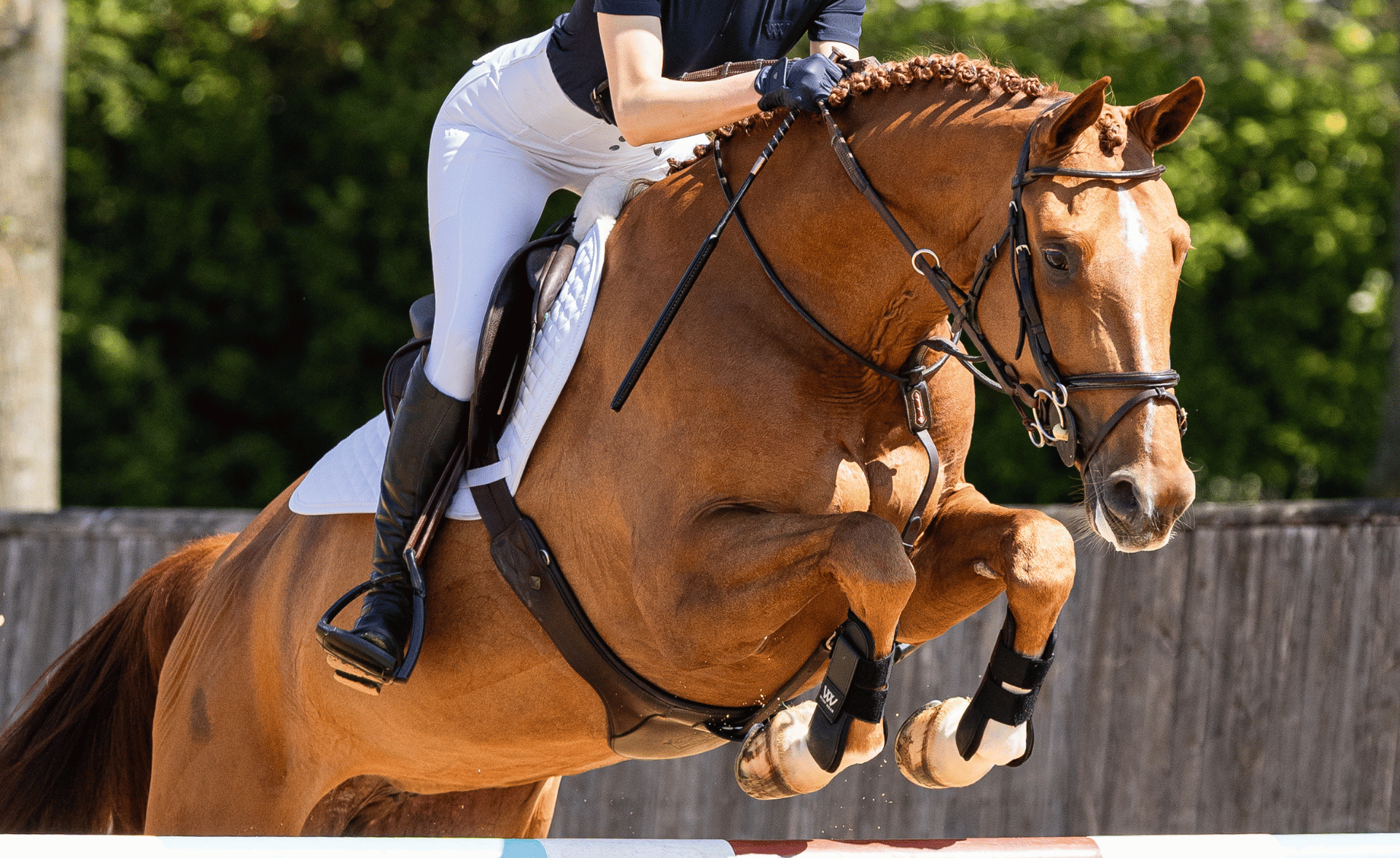 Picture for category Tendon and Fetlock Boots